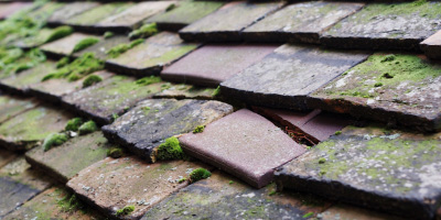 Shipton roof repair costs